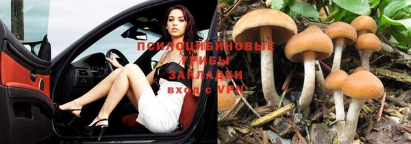 jwh Костерёво