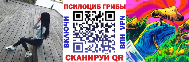 где купить наркоту Мамадыш OMG маркетплейс darknet официальный сайт Псилоцибиновые грибы Psilocybe